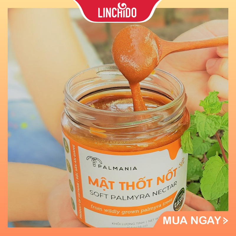 Mật thốt nốt sệt truyền thống PALMANIA | Nguyên Chất, Tự Nhiên (400 GRAM Hủ PET )