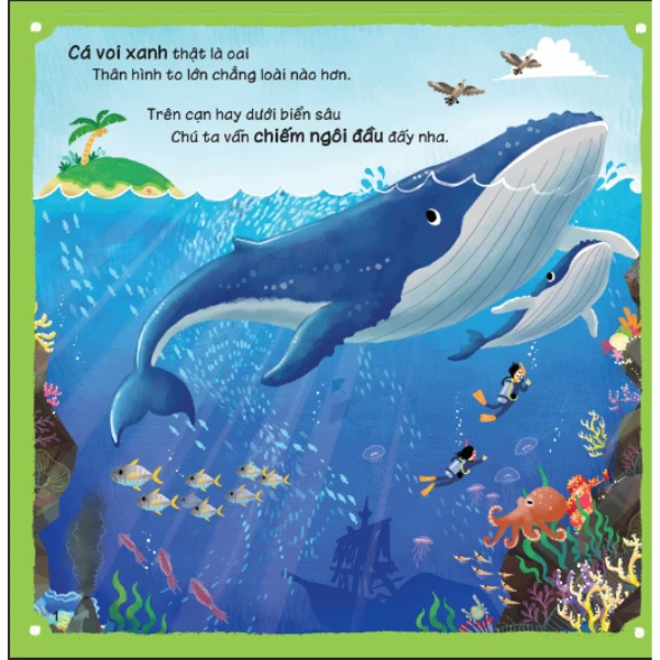 Sách Lift-The-Flap - Lật Mở Khám Phá - Những Kiến Thức Đầu Đời