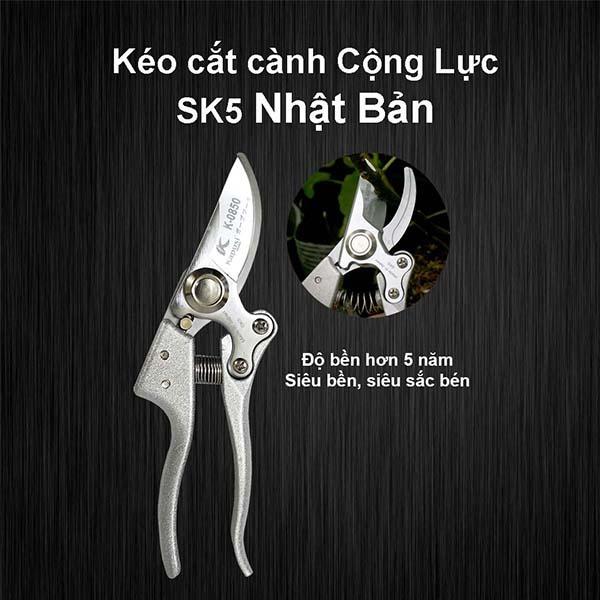 Kéo Cắt Cành Cộng Lực Nhật Bản SK5