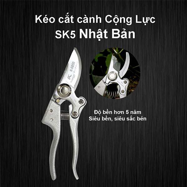 Kéo Cắt Cành Cộng Lực SK5 Nhật Bản