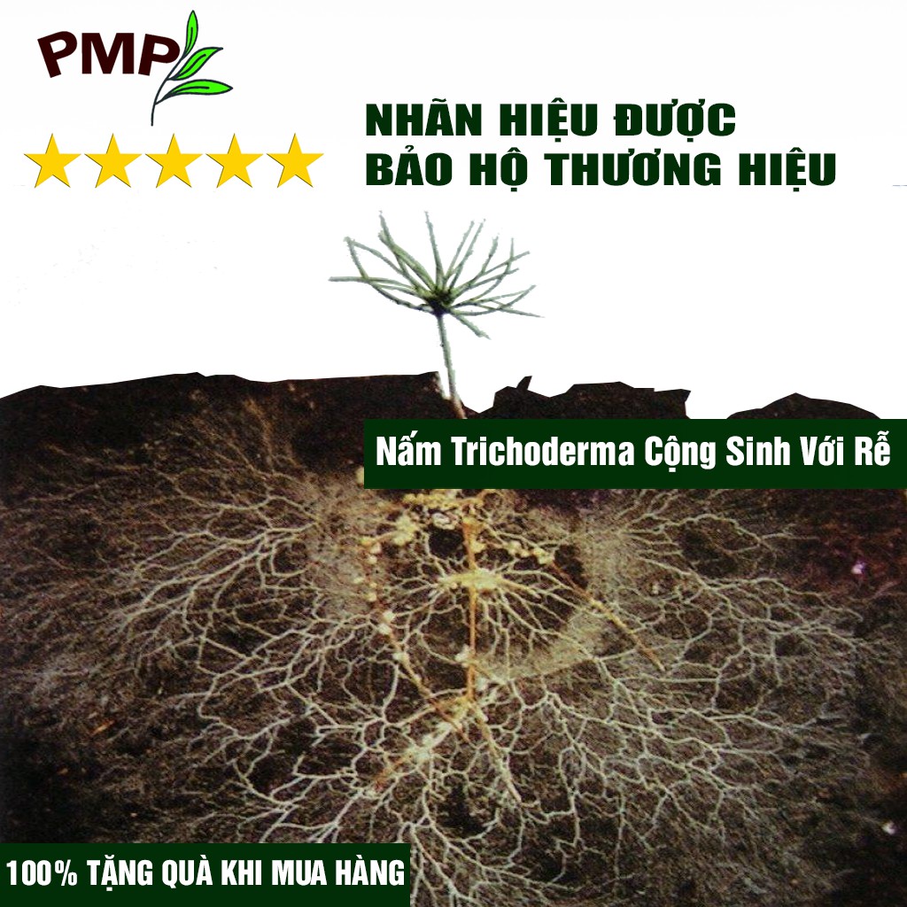 Nấm Trichoderma PMP Nấm Đối Kháng Phòng Thối Rễ, Ủ Phân Hữu Cơ Từ Rác Thải Hữu Cơ 200g