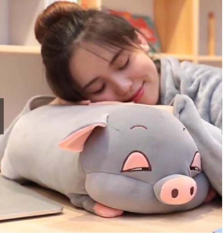 Bộ chăn gối 3in1 hình thú