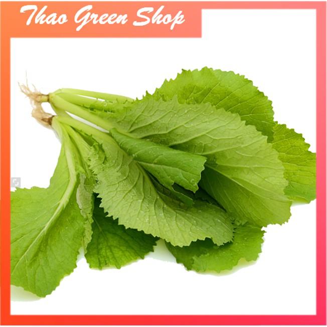 20g Hạt giống cải Mơ Hoàng Mai Cao Sản