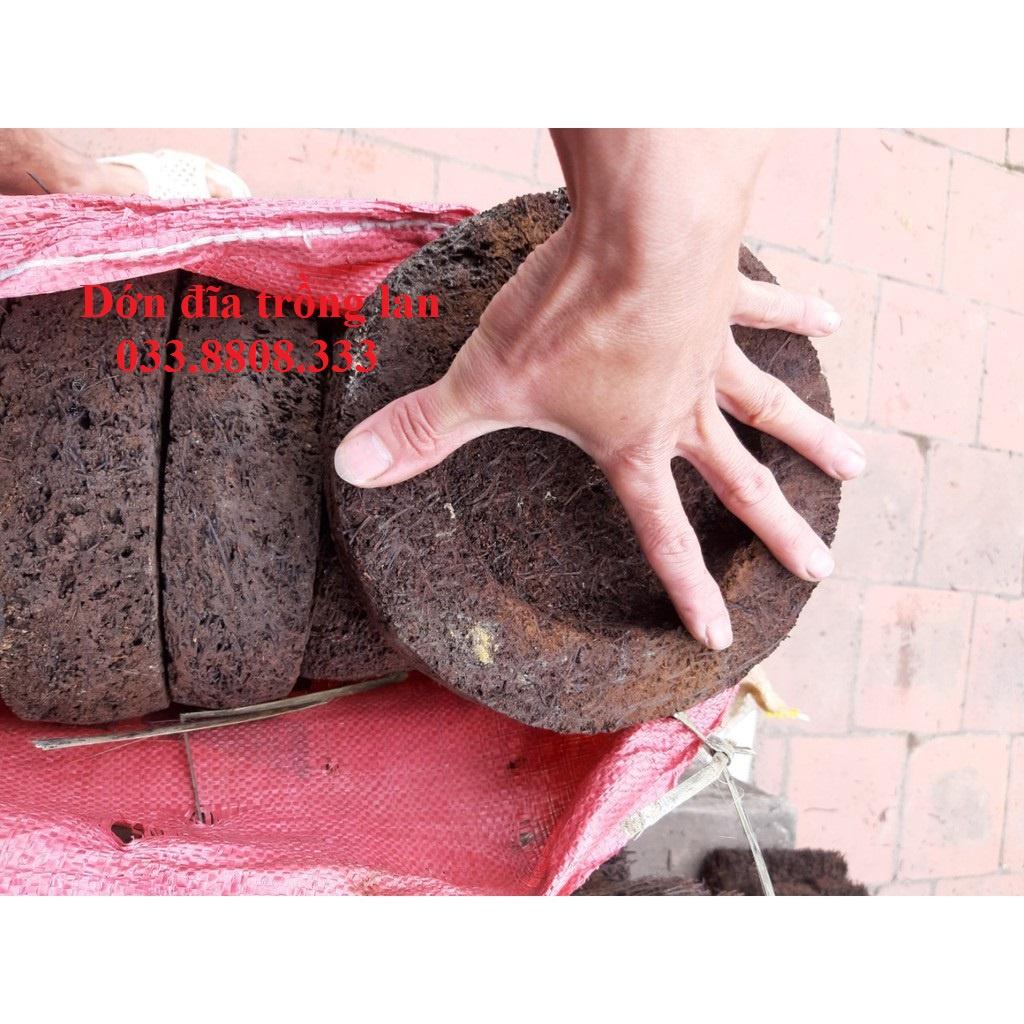 CHẬU DỚN TRỒNG LAN - Chuyên dùng ghép lan