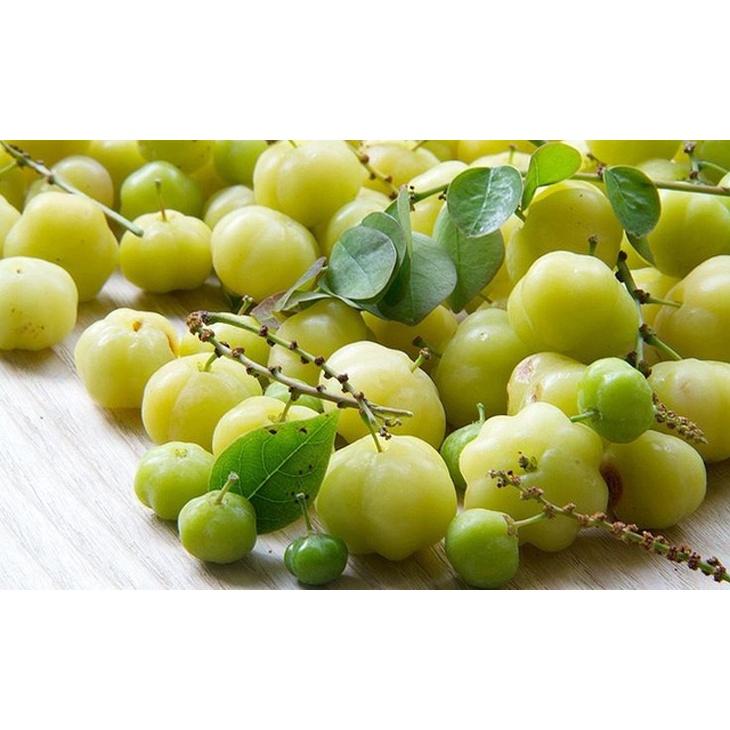 Cây giống Chùm Ruột NGỌT siêu Trái .