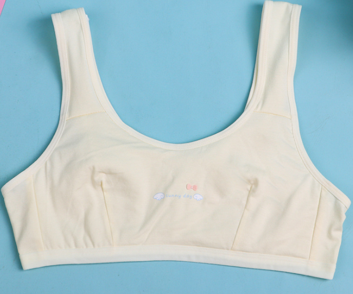 Bra / Áo Lá Cotton Nữ Sinh SUNNY DAY Xuất Đông Hàng Loại Đẹp.