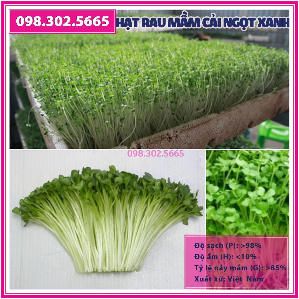 Hạt giống rau mầm rau cải ngọt Xanh - gói 50g - hạt chất lượng tốt, nảy mầm đồng đều