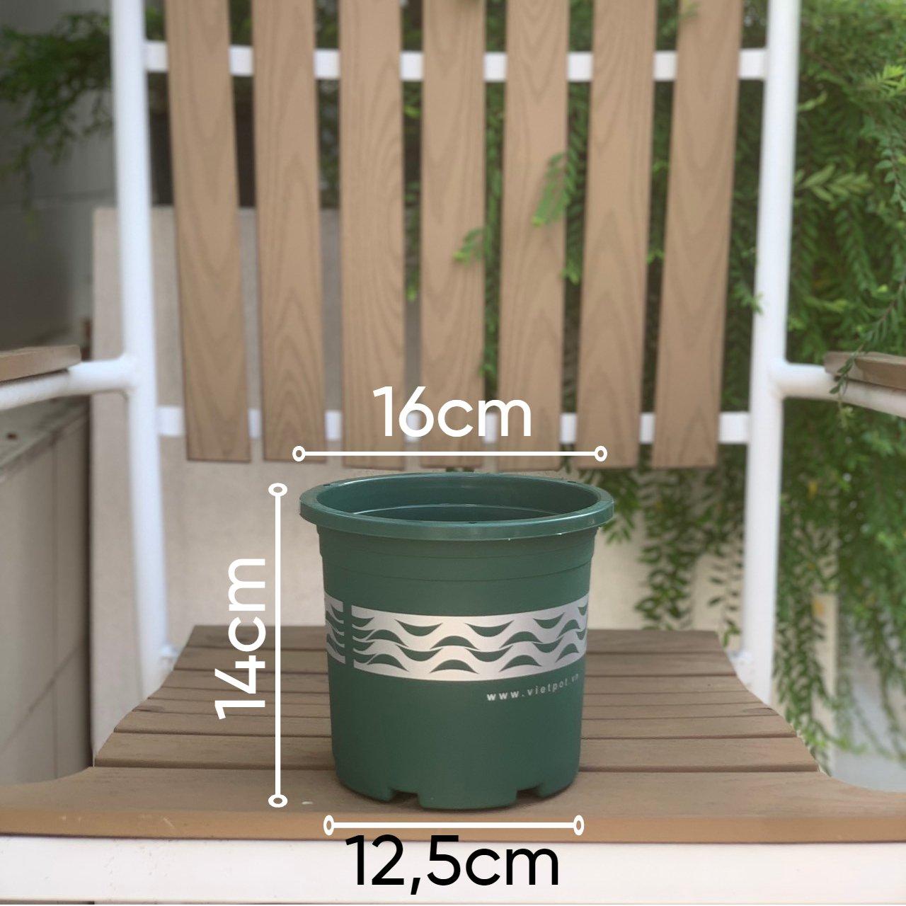 Chậu nhựa trồng cây VIETPOT, mã 43, màu Xanh, hoa văn lượn sóng, nhiều size, trồng kiểng lá, hoa hồng, hoa kiểng, trang trí ban công, sân vườn, sân thượng
