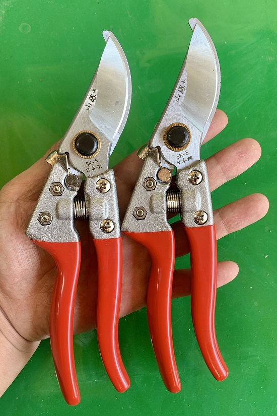 Kéo Cắt Tỉa Cành Cây - Kéo Cắt Cành Siêu Sắc Bền Tặng Kèm Lò Xo - Kéo SK5 Delow