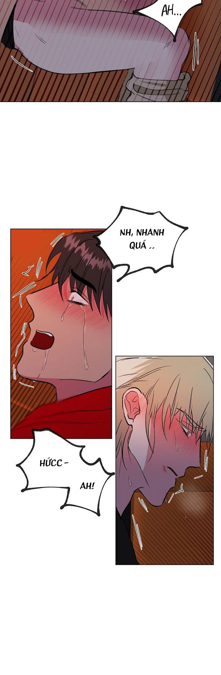 dưới đôi cánh ấy chapter 28.2 10