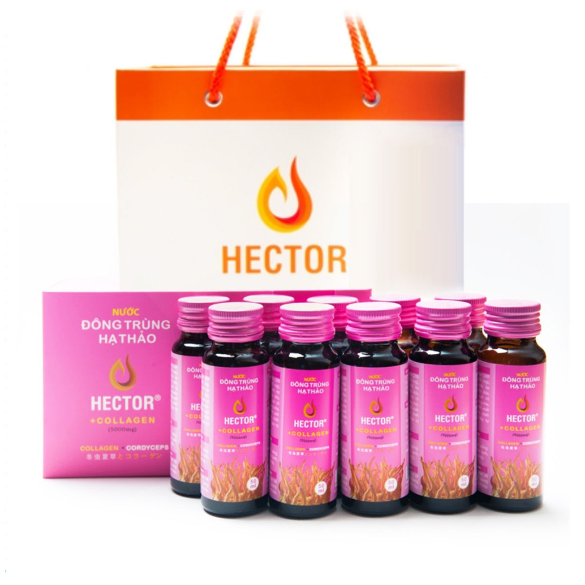 Hộp 10 chai Hector collagen nước đông trùng hạ thảo - Sản phẩm trẻ hóa nhanh