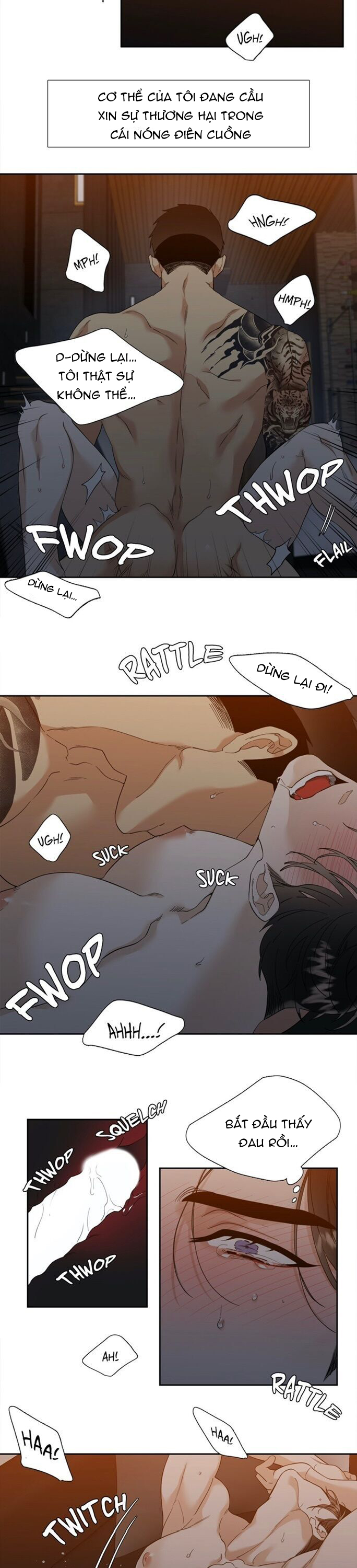 xúc cảm điên cuồng chapter 40.2 5