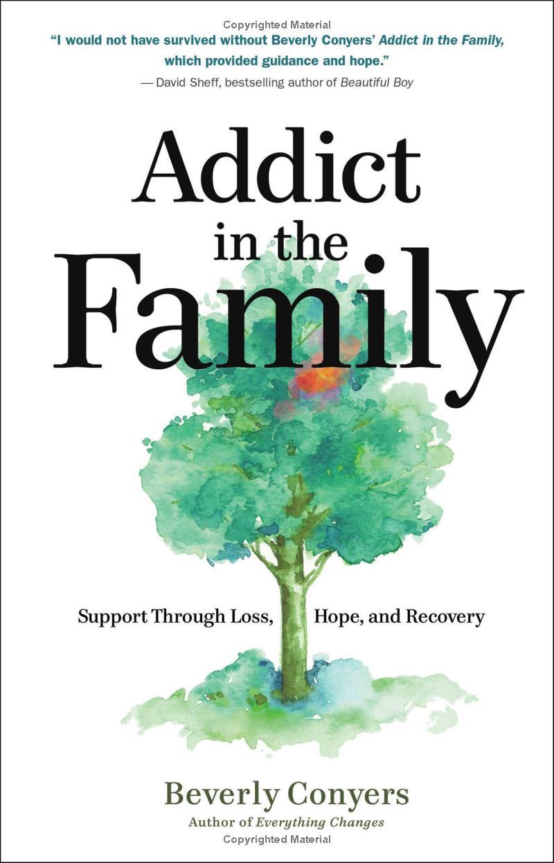Sách ngoại văn: Addict In The Family - Support Through Loss, Hope, And Recovery