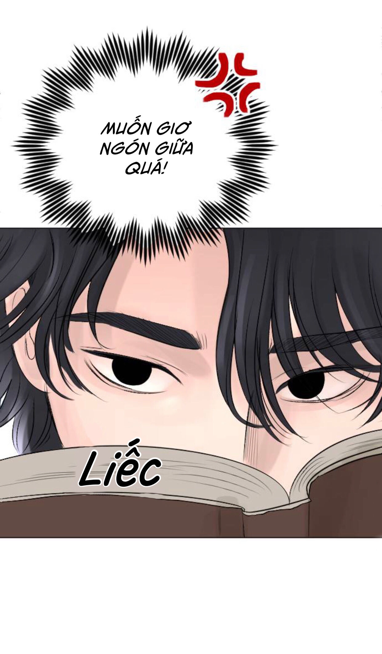 lựa chọn cuối cùng của tôi là nam phụ chapter 9 62