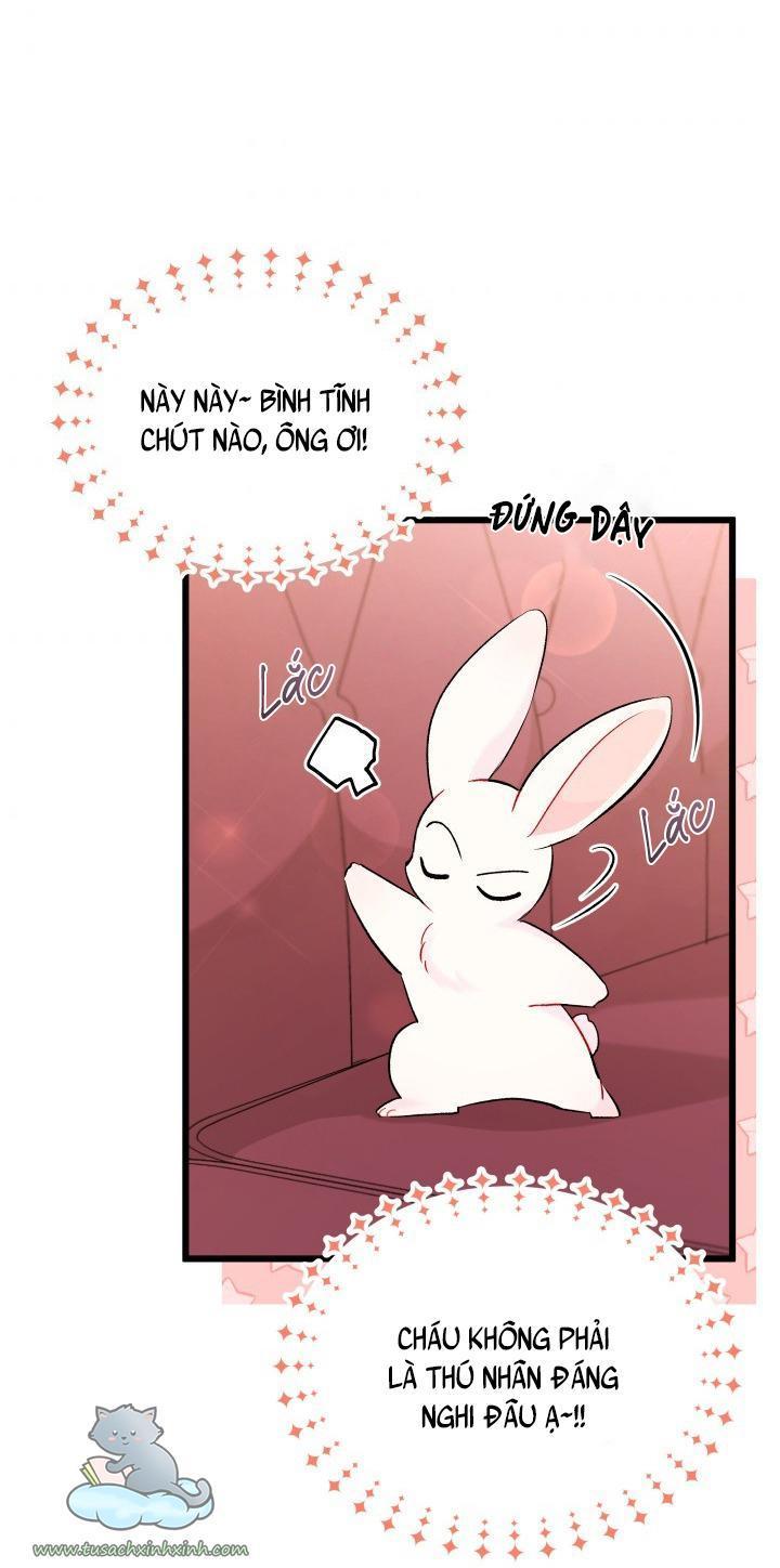 quan hệ cộng sinh giữa báo đen và thỏ trắng chapter 48 43