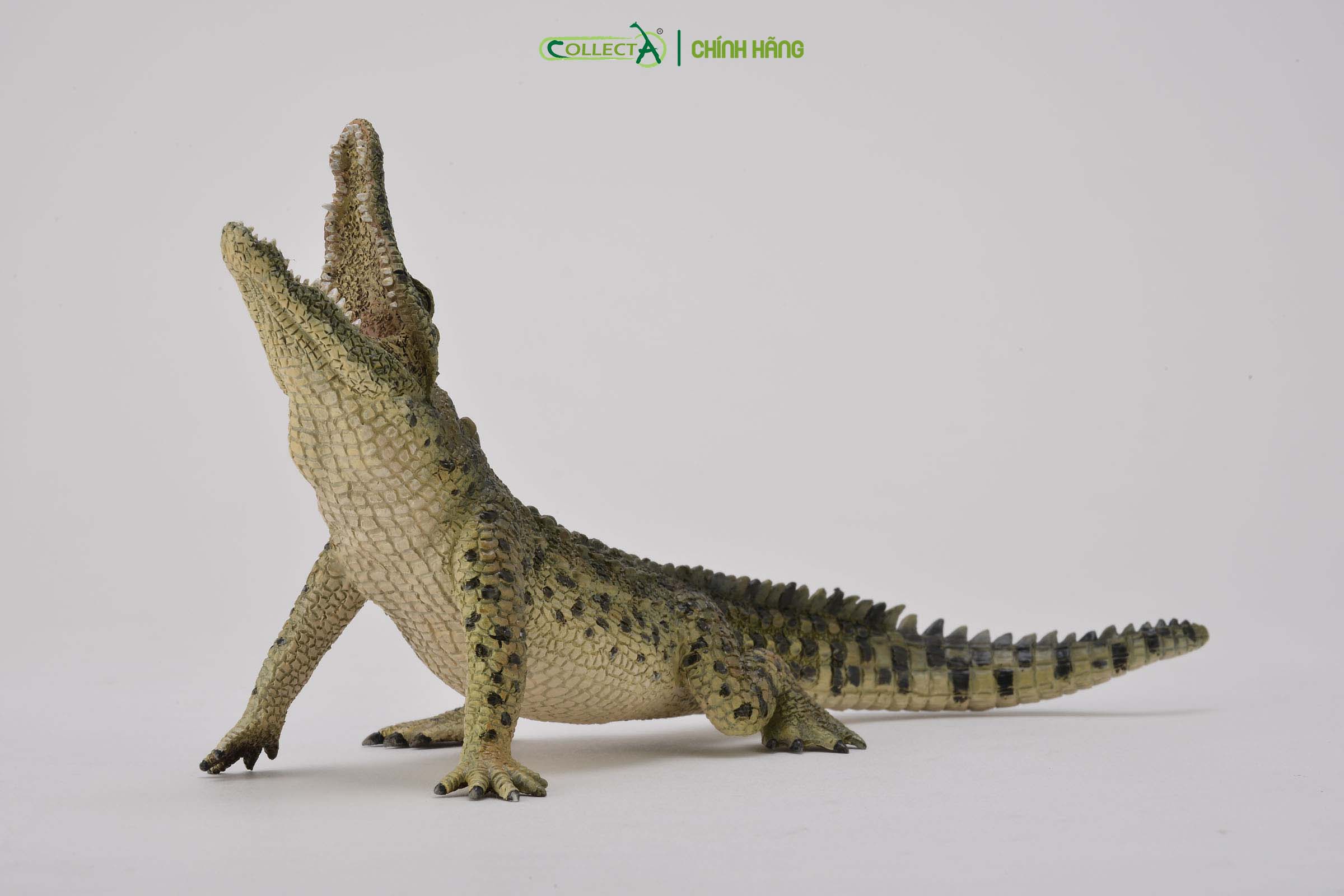 Mô hình thu nhỏ: Cá Sấu Sông Nile - Nile Crocodile Leaping with movable jaw, hiệu: CollectA, mã HS 9651090[88725] -  Chất liệu an toàn cho trẻ - Hàng chính hãng