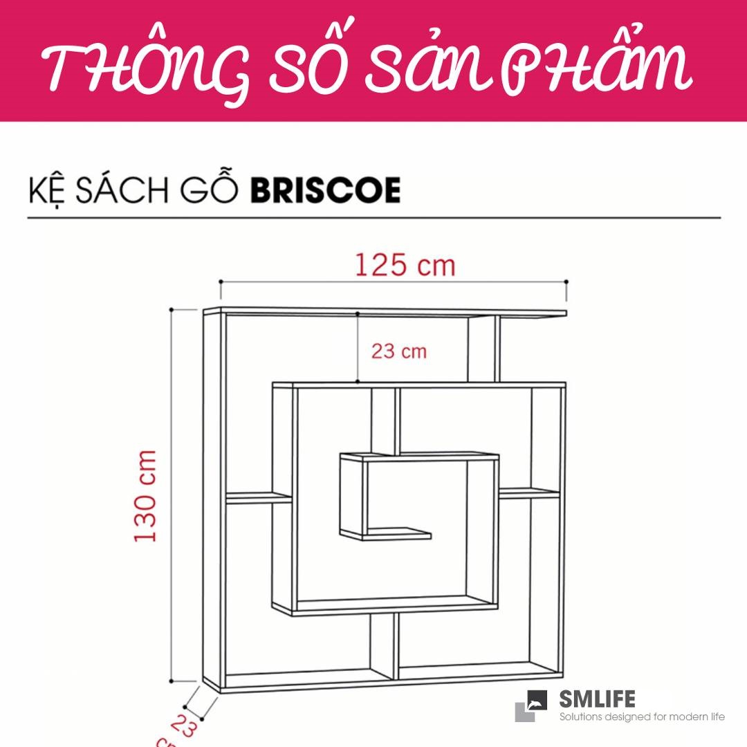 Kệ sách gỗ hiện đại SMLIFE Briscoe  | Gỗ MDF dày 17mm chống ẩm | D125.2xR23xC130cm - Màu