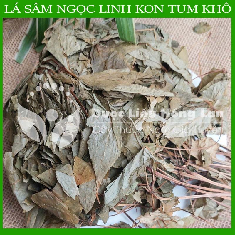 [THƯỢNG HẠNG] 100G Lá Sâm Ngọc Linh Kon Tum sấy khô nguyên chất loại 1