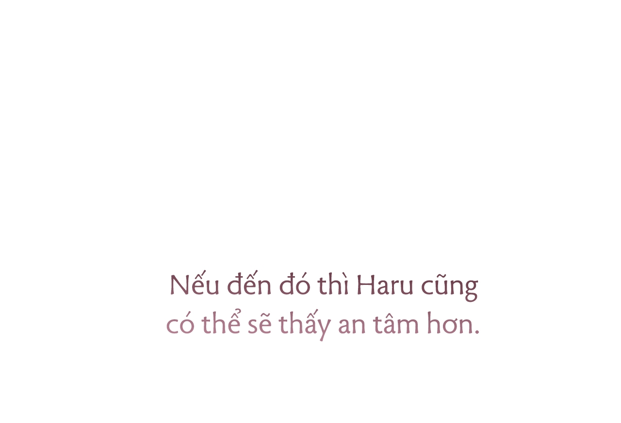 đàn thỏ của habibi chapter 35 229
