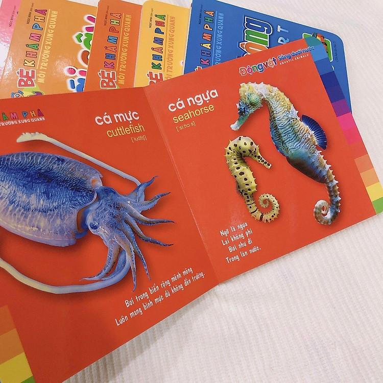 Sách Bé khám phá Môi Trường Xung Quanh