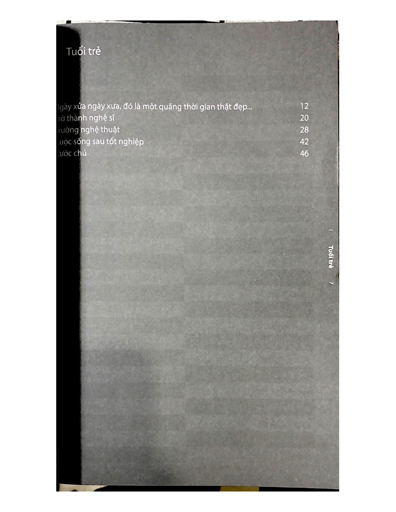 Nghệ Sĩ Định Nghĩa Chính Mình - Vanlangbooks