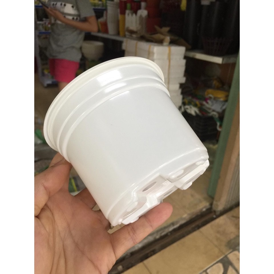 Combo 10 Chậu nhựa trồng cây trắng 10.5x8 cm