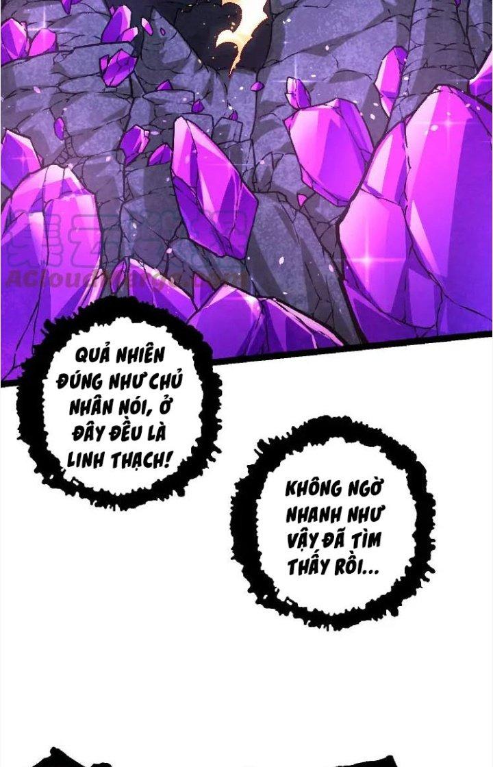 từ cây cổ thụ bắt đầu tiến hóa chapter 25 6