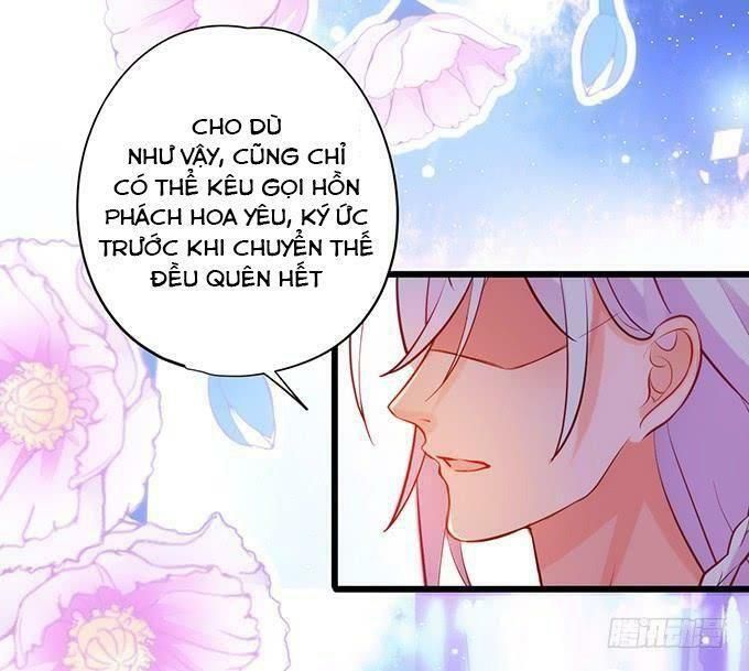 hồ tiên hung bạo chapter 116 29