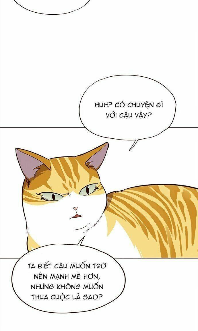 biến thân thành mèo chapter 21 36