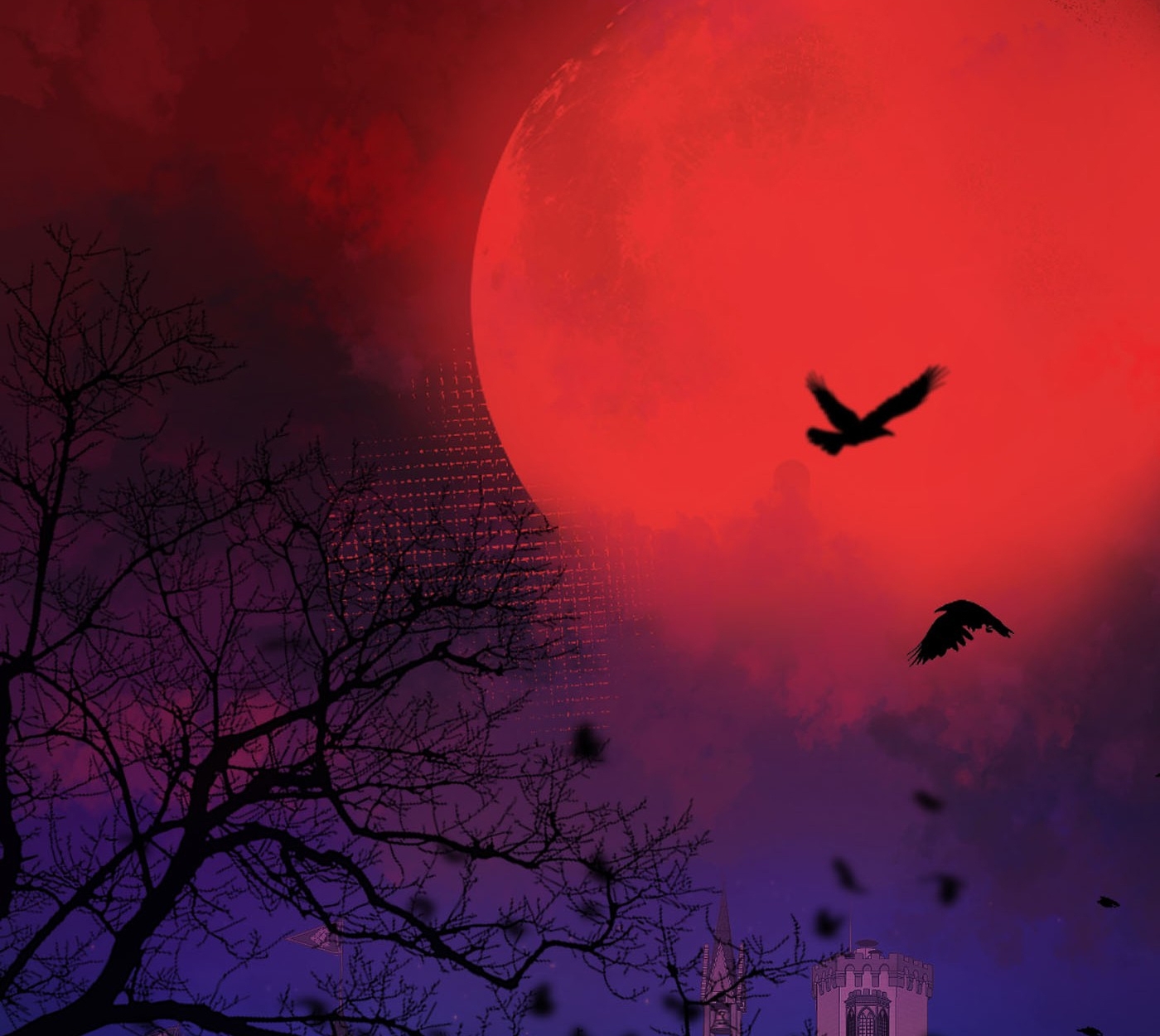 bông hoa độc của nhà công tước chapter 2.1 3