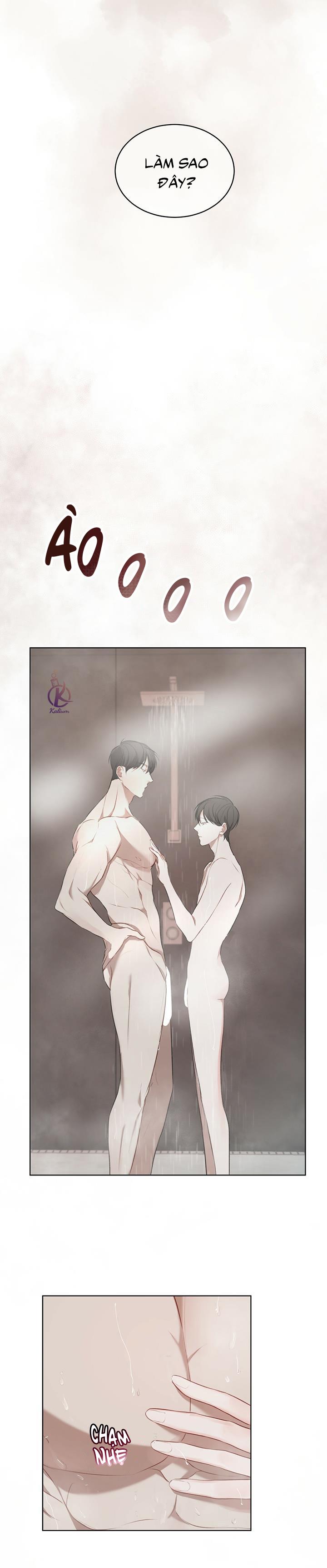 hình thái khởi sinh chapter 12 6