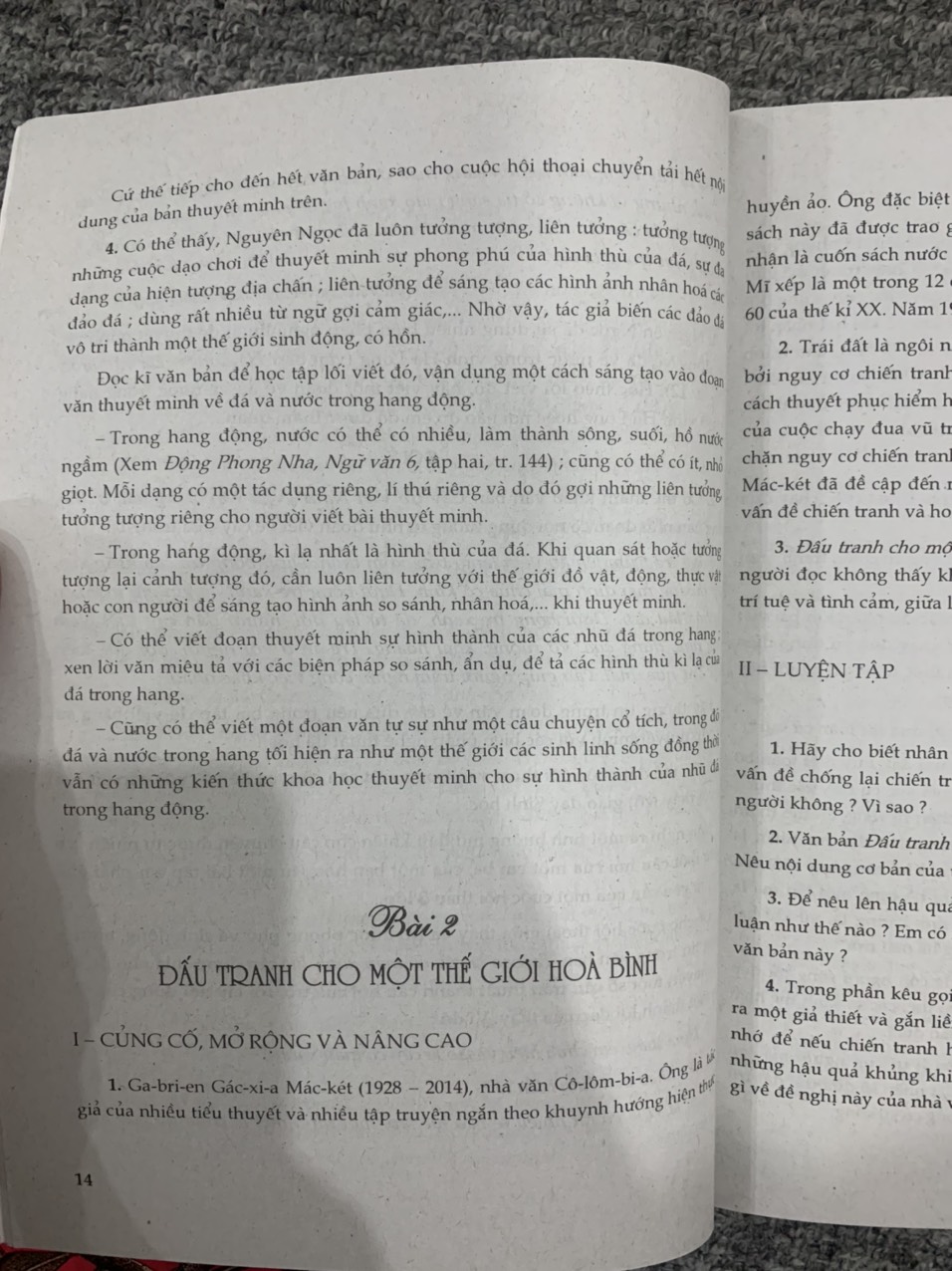 Ngữ văn nâng cao 9