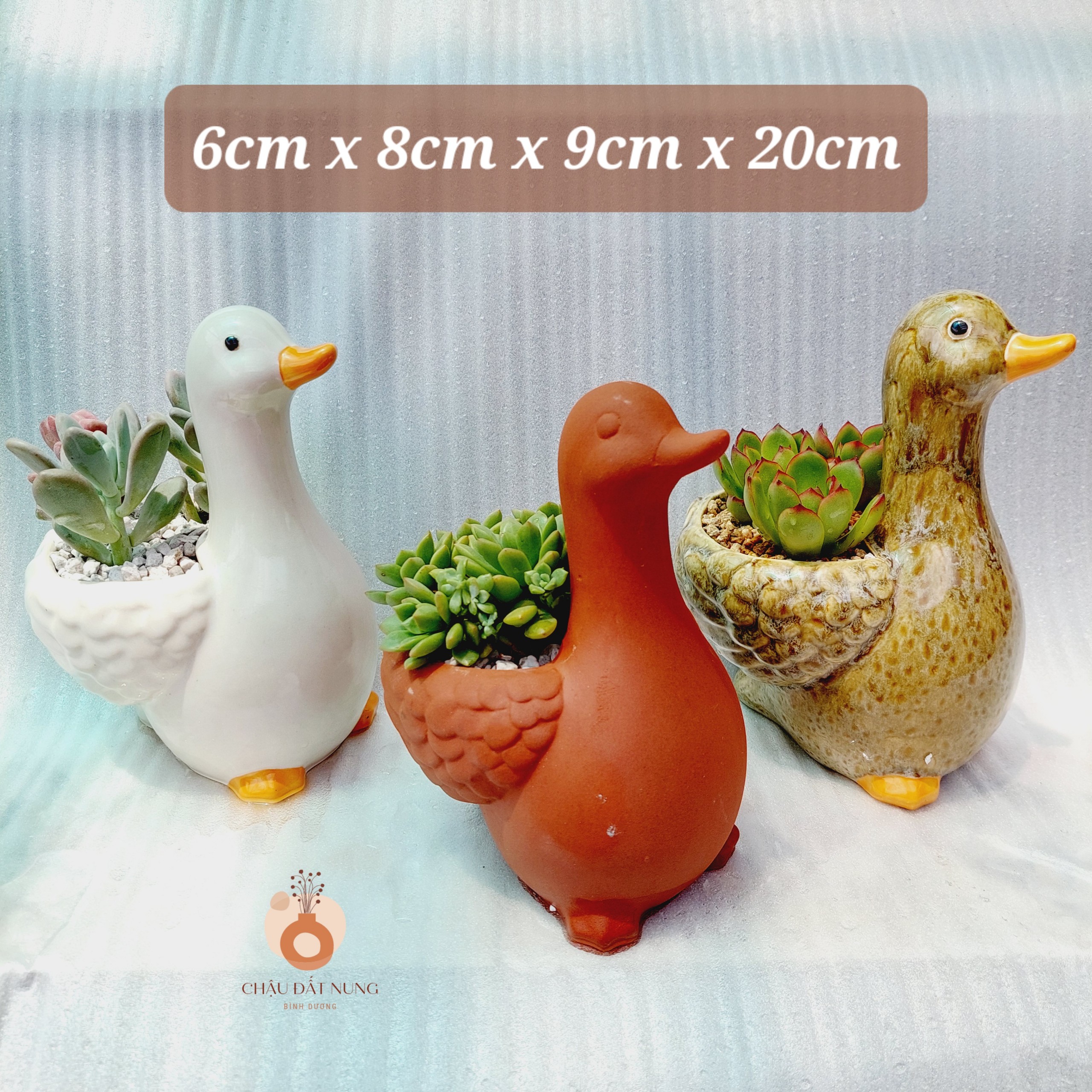 Chậu đất nung Bình Dương - Vịt thiếu nhi, miệng chậu 8cm, chiều cao 9cm tới lưng, 20cm tới đầu