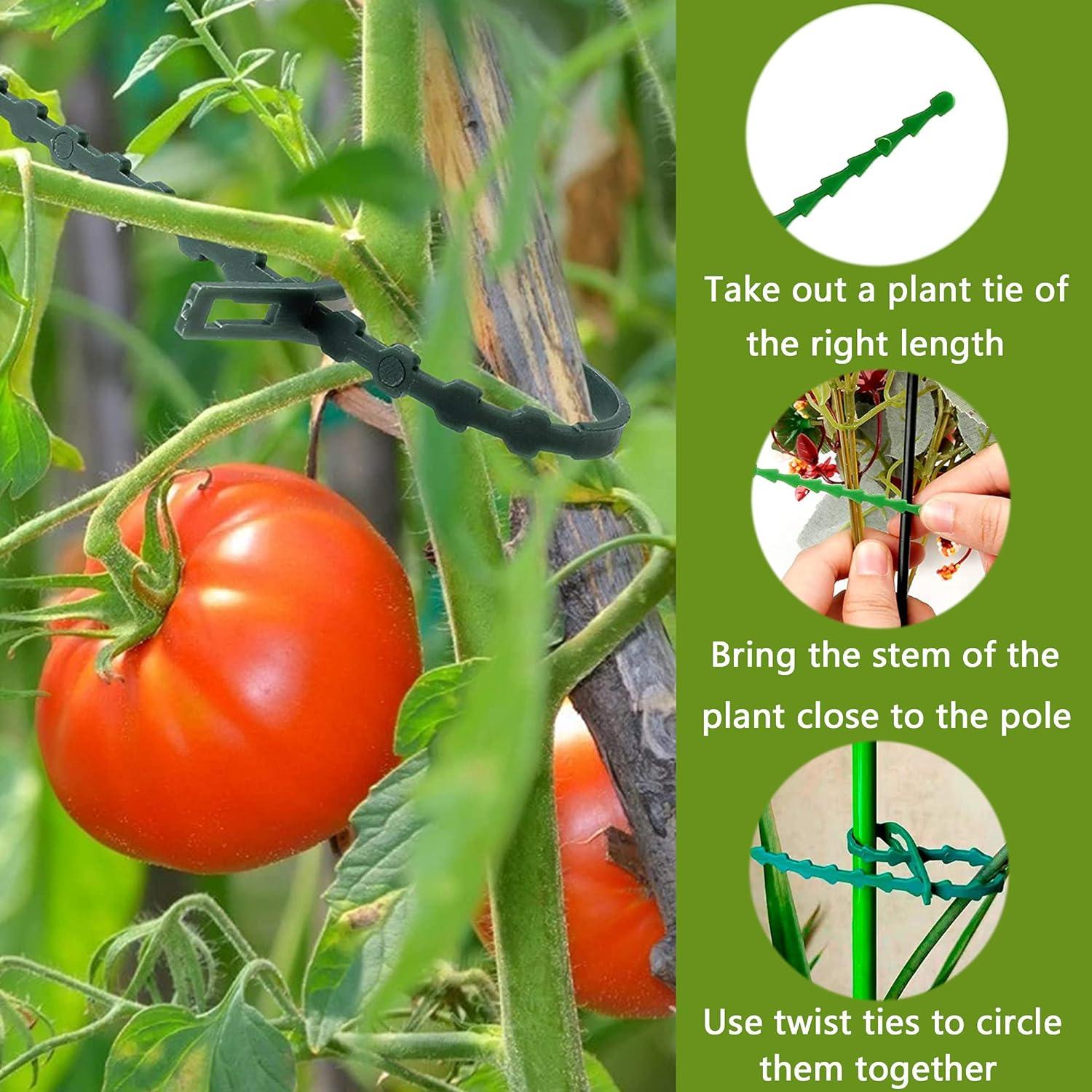 100 Cái Cà Vạt Thực Vật Có Thể Điều Chỉnh Dây Xoắn Dây Nhựa Có Thể Tái Sử Dụng Dây Cáp Vườn Dây Có Thể Điều Chỉnh Cà Vạt 17Cm Cho Hỗ Trợ Thực Vật Trong Vườn