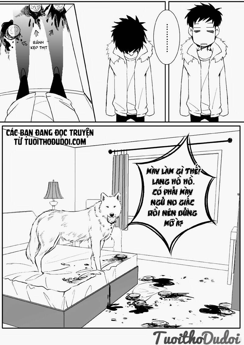 sự mê hoặc của sói chapter 20 16
