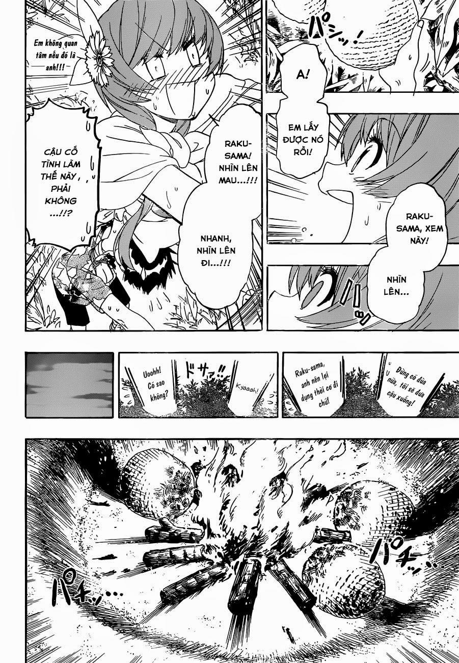 nisekoi - tình yêu giả tạo chapter 170 17