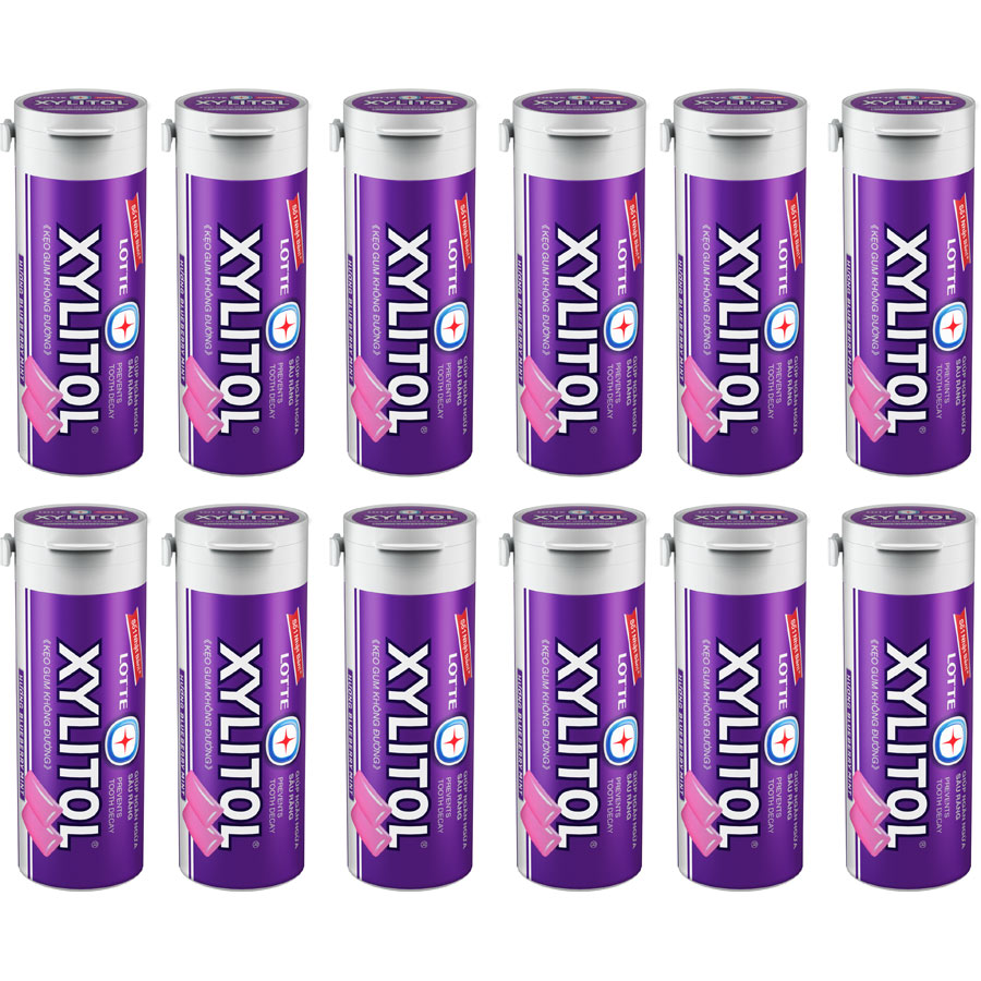 Hộp Kẹo Gum không đường Lotte Xylitol - Hương Blueberry Mint 12 hũ x 26,1g