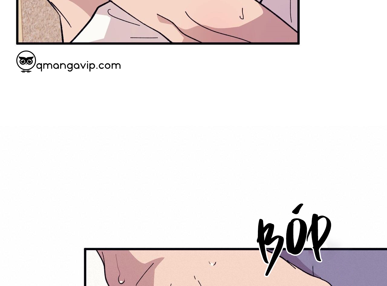 chàng dâu nhà họ kang chapter 44 21