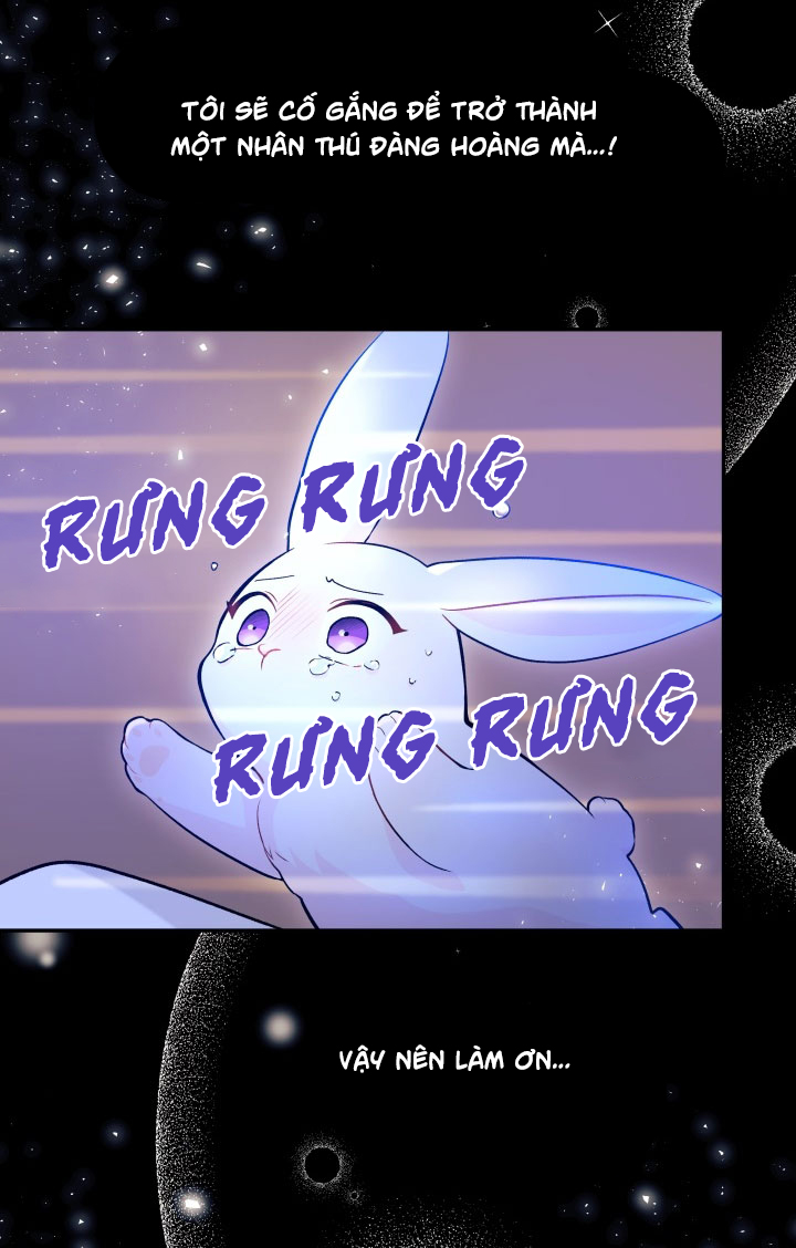 mối liên kết giữa báo đen và bé thỏ chapter 1 21