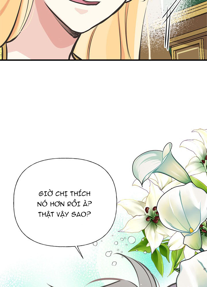 chị tôi đã nhặt về một nam chính quyến rũ chapter 52 14