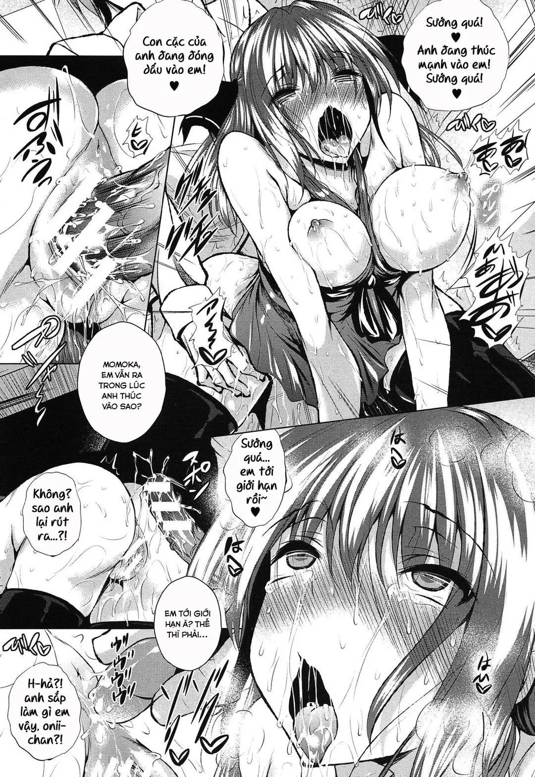 ahecolle chapter 3 16