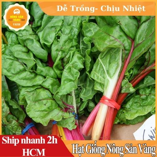 Hạt giống Cải Nhiều Màu Nảy Mầm Cao, Sinh Trưởng Và Phát Triển Khỏe - Nông Sản Vàng