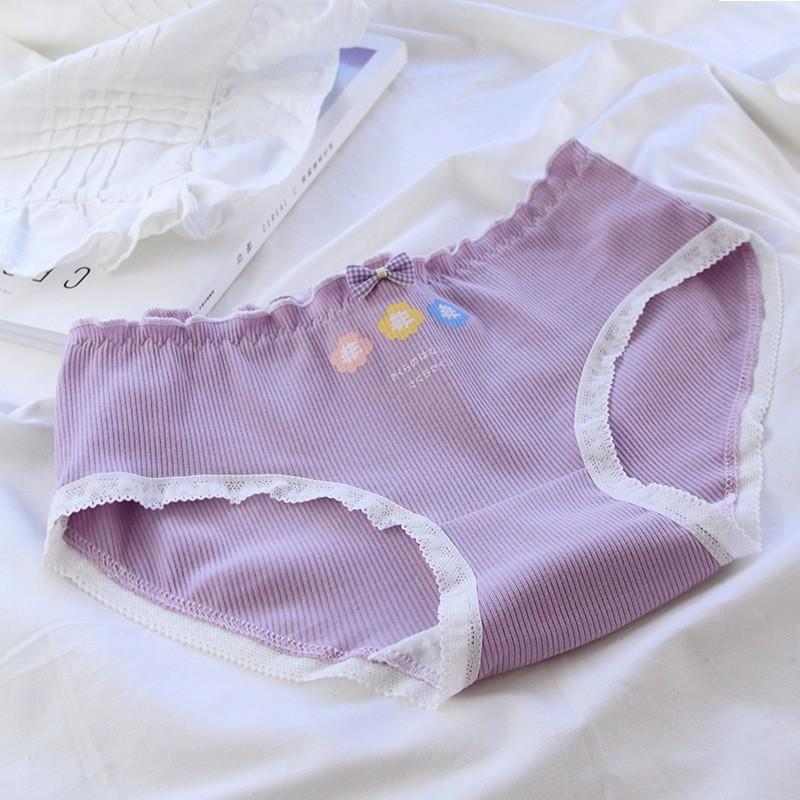 Quần Lót Cotton Co Dãn 4 Chiều Hoa 5 Cánh Tím Pastel