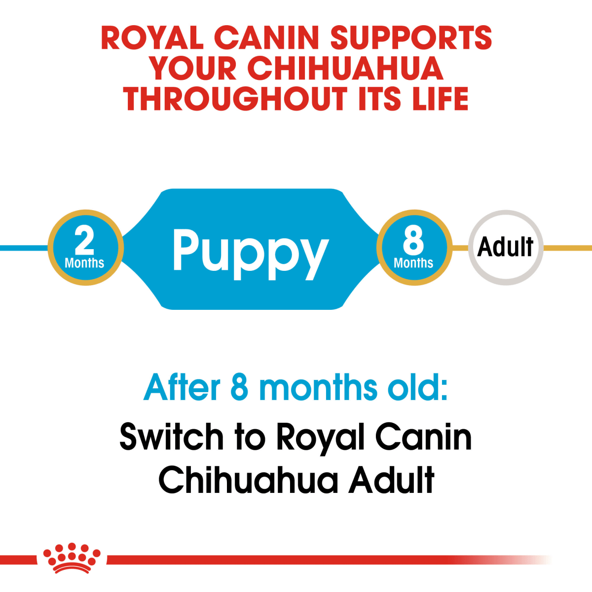 Royal Canin Chihuahua Puppy Hạt Cho Chó Chihuahua Nhỏ