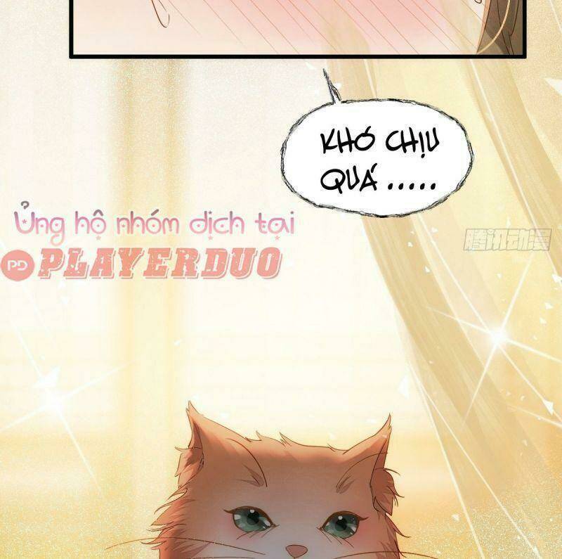 sát thủ vương phi không dễ chọc chapter 32 35