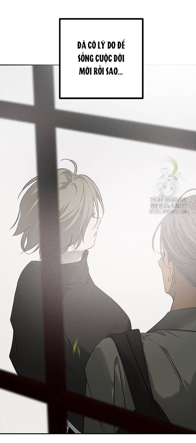 Cạm Bẫy chapter 203.1 50