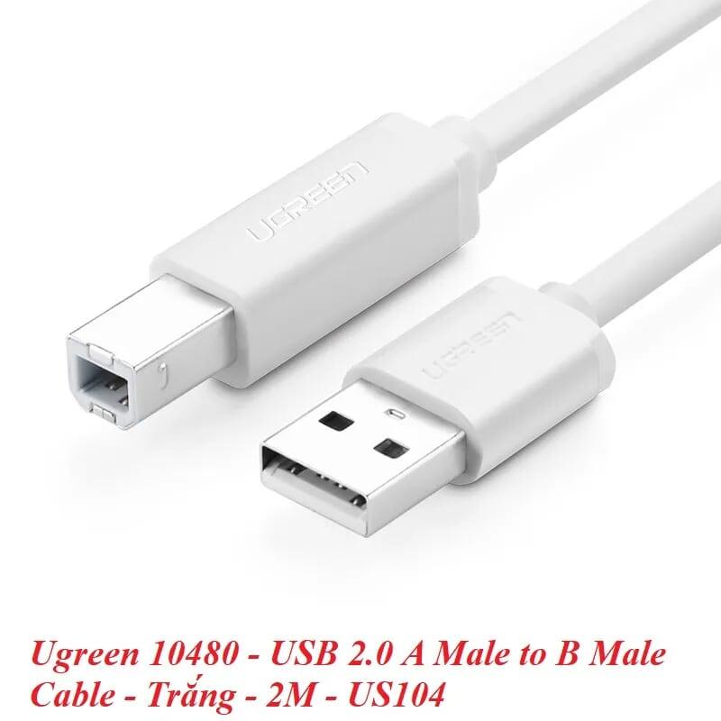 Ugreen UG10480US104TK 2M màu Trắng Cáp USB 2.0 sang USB B máy in - HÀNG CHÍNH HÃNG