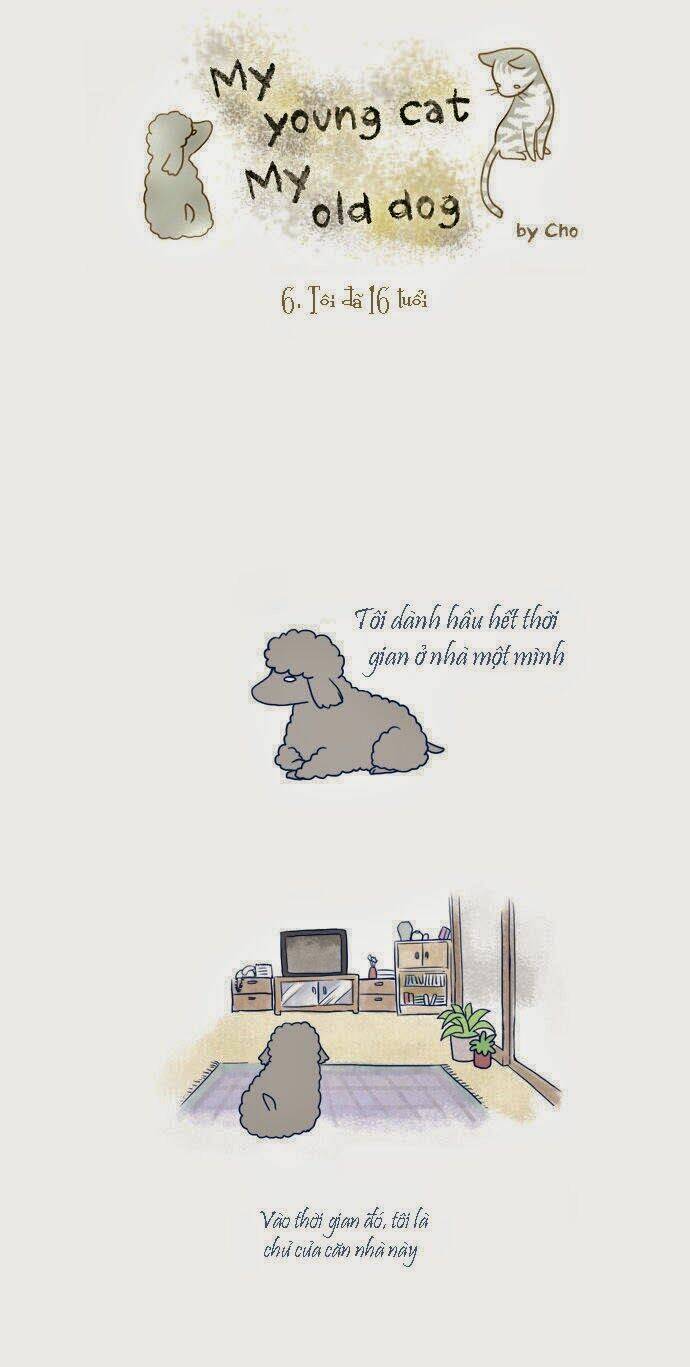 mèo con và chú chó già của tôi chapter 6 1