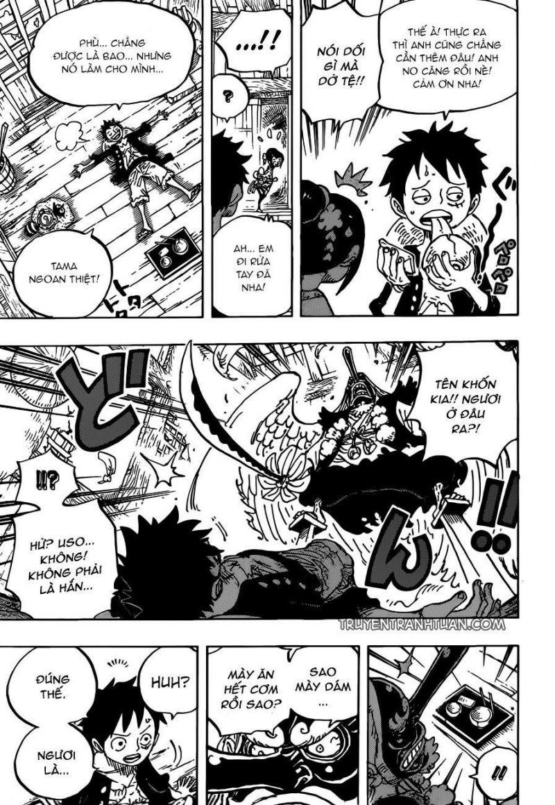 đảo hải tặc - one piece chapter 911 14