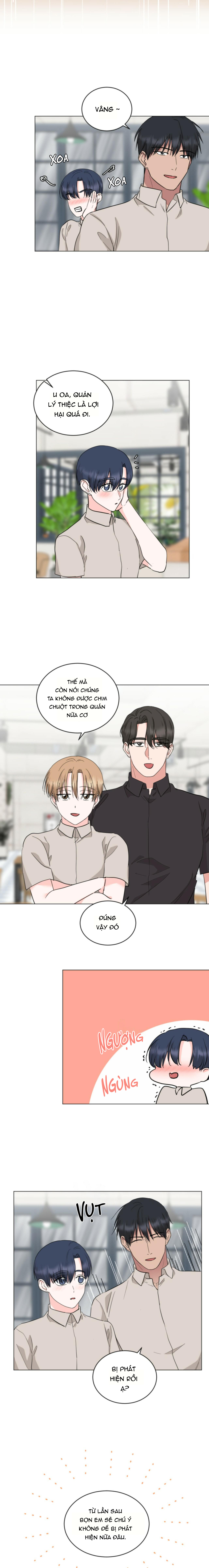 họ đã ngủ với nhau chapter 49 10